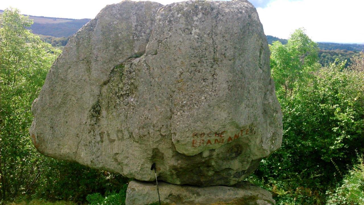 Lilas, Gite Saint Antoine, Orcival, Entre Sancy Et Volcans. Eksteriør bilde